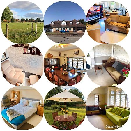 Amazing Quiet Garden House Near London Luton Airport Appartamento Esterno foto